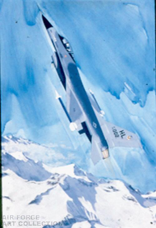 口豪奢 The United Collection Art Force Air States 戦記、ミリタリー