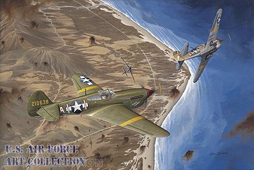 The United States Air Force Art Collection
